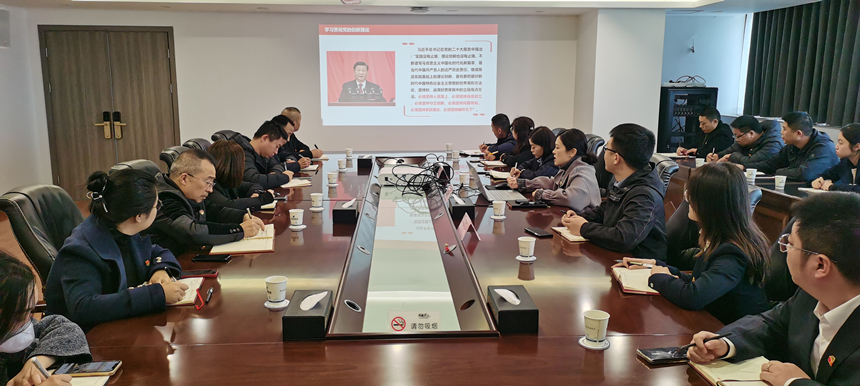 集團黨委委員、副總經(jīng)理賀維維同志講授專題黨課
